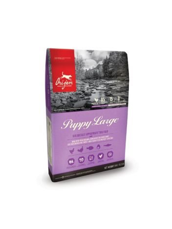 ORIJEN PUPPY LARGE - 6KG