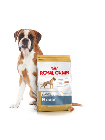 ROYAL CANIN BOXER - 24KG (12KGx2)