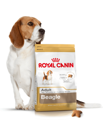 ROYAL CANIN BEAGLE - 3KG