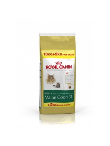 ROYAL CANIN MAINE COON 31 - 10KG + 2KG