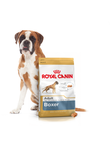 ROYAL CANIN BOXER - 12KG + 2KG