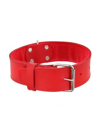 DINO A.OBROŻA SKÓRZANA 50MM/60CM - CZERWONA