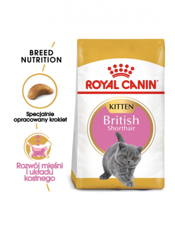 ROYAL CANIN KITTEN BRITISH SHORTHAIR - 400G