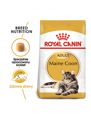 ROYAL CANIN MAINE COON - 4KG