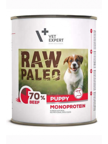 VET EXPERT RAW PALEO PUPPY BEEF - 800G