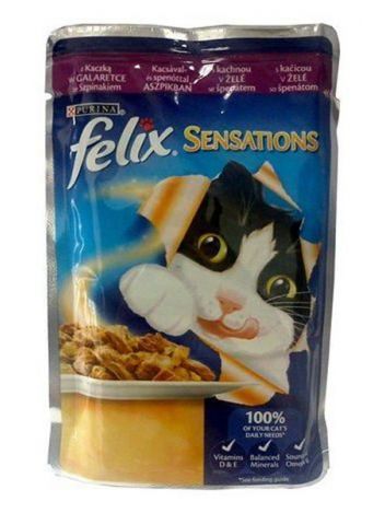 FELIX FANTASTIC SASZETKA KURCZAK W GALARECIE - 1000G (10x100G)