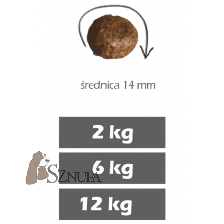 FURORA BEZZBOŻOWA KARMA DLA PSÓW 50% MIĘSA Z DZICZYZNY - 24KG (12KGx2)