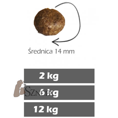 FURORA BEZZBOŻOWA KARMA DLA PSÓW 50% MIĘSA ŁOSOSIA I PSTRĄGA - 12KG