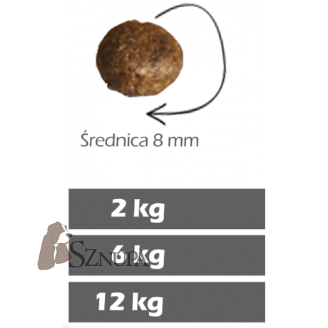 FURORA BEZZBOŻOWA KARMA DLA PSÓW RAS MAŁYCH 53% MIĘSA ŁOSOSIA I PSTRĄGA - 6KG