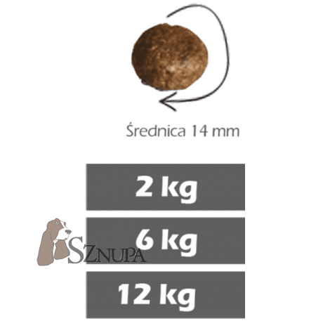 FURORA BEZZBOŻOWA KARMA DLA PSÓW 50% MIĘSA INDYKA - 24KG (12KGx2)