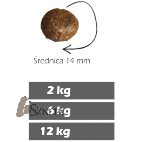 FURORA BEZZBOŻOWA KARMA DLA PSÓW 50% MIĘSA WIEPRZOWEGO - 2KG