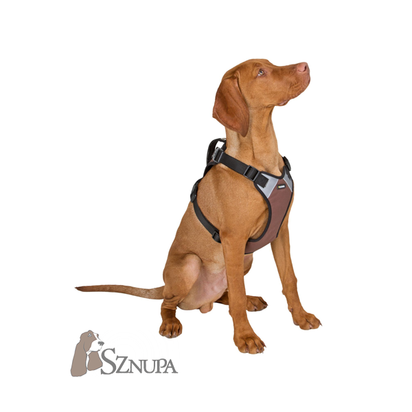 KERBL SZELKI PULSIVE 62-85CM - CZARNO/BRĄZOWE