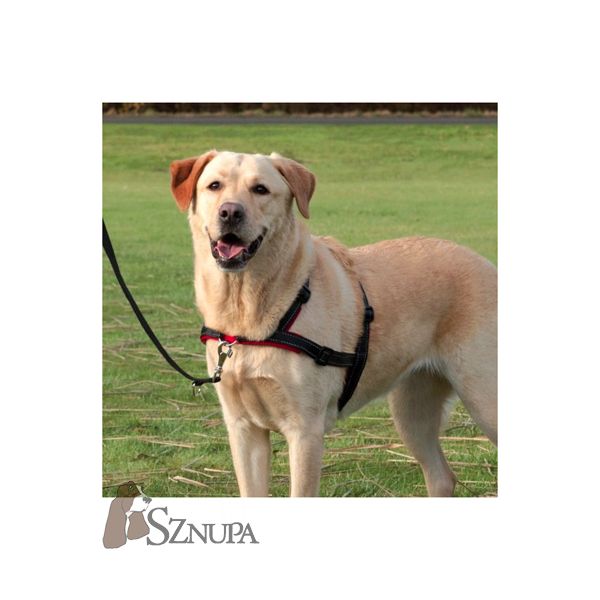 TRIXIE (13057) SZELKI LEAD'N WALK SOFT L-XL 65-105/25CM