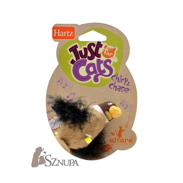 HARTZ ZABAWKA CHIRP & CHASE
