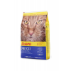 JOSERA KOT DAILYCAT - 2KG