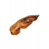 SZNUPA NOGA WIEPRZOWA KRÓTKA 1 SZT