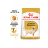 ROYAL CANIN LABRADOR RETRIEVER - 12KG