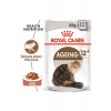 ROYAL CANIN AGEING 12+ W SOSIE - 85G