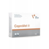 VETEXPERT COPROVET 30 KAPSUŁEK
