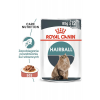 ROYAL CANIN HAIRBALL CARE W SOSIE - 85G