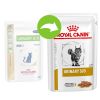 ROYAL CANIN CAT URINARY S/O KURCZAK W SOSIE - 12x85G