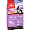 ORIJEN PUPPY LARGE - 22,8KG (11,4x2)